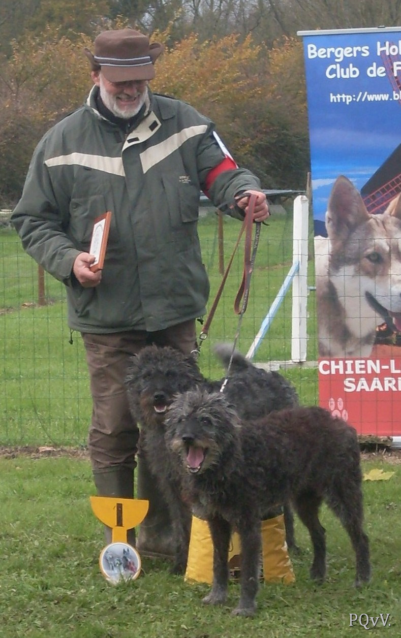  poils durs, Email et Amarulla